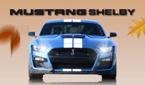 Stage de pilotage Ford Mustang Shelby GT500