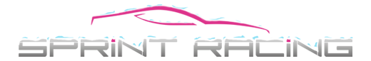 SPRINT RACING: Leader du Stage de Pilotage sur circuit