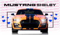 Stage de pilotage Ford Mustang Shelby GT500